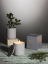 Persian Thyme Candle - Light Grey Clay