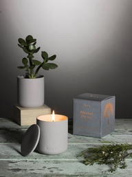[AE0048] Persian Thyme Candle - Light Grey Clay